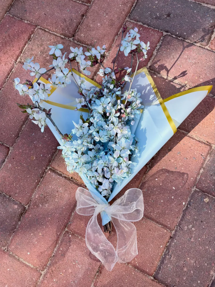 A fresh hand-tied bouquet of white spring blossom wrapped in pale blue paper